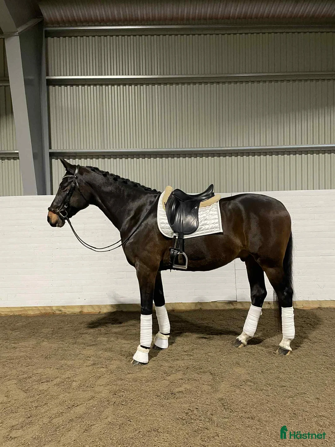 Dressyr hästar till salu: En bästa vän med utstrålning i Vittinge - Annons 2