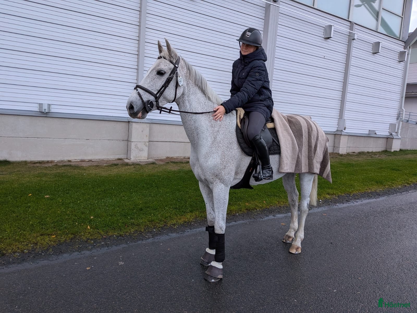  hästar Trevlig bästa kompis! - Annons 1