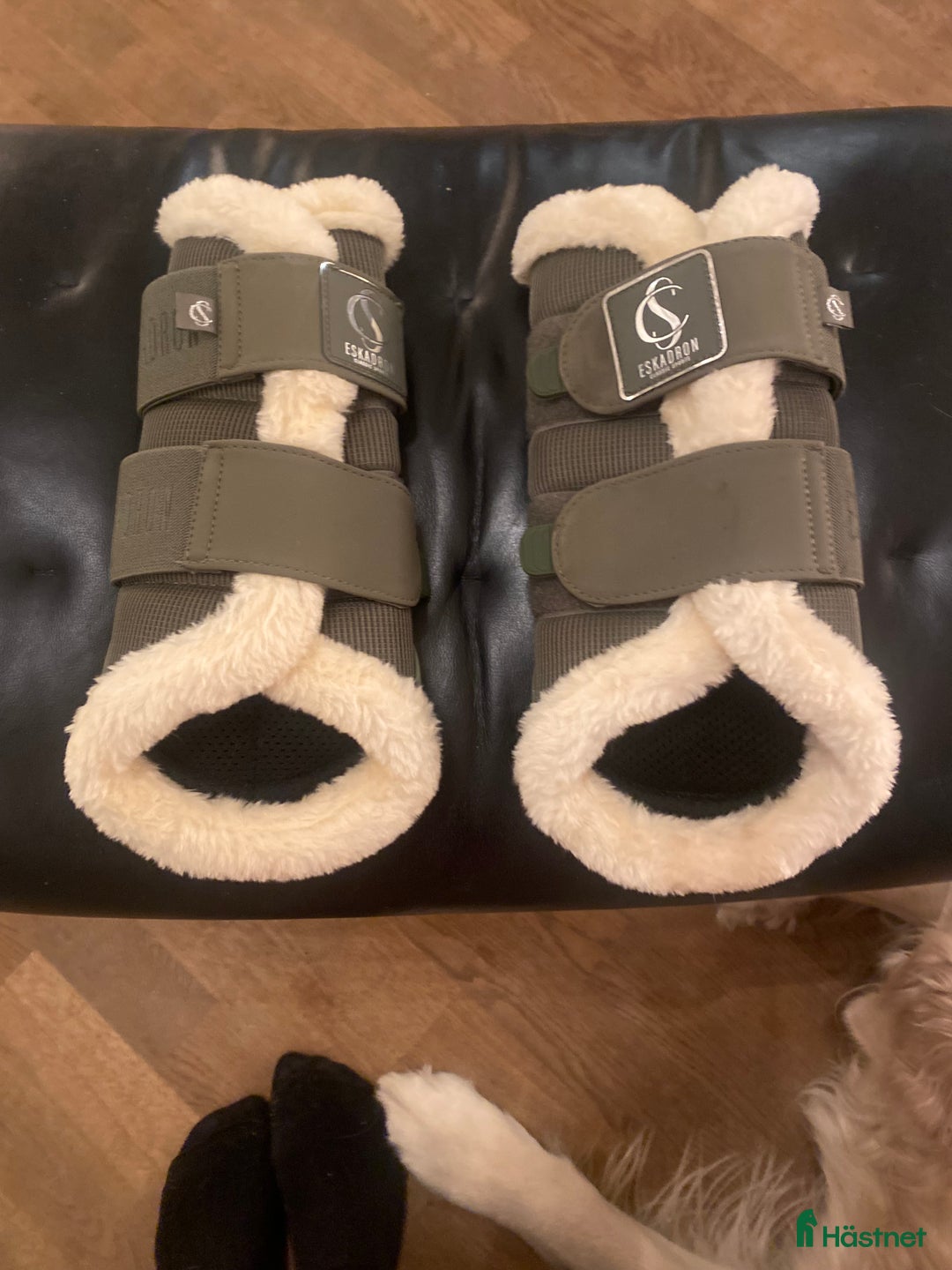 Benskydd hästutrustning till salu: Eskadron dresdyrskydd oanvända i Kalmar - Annons 1