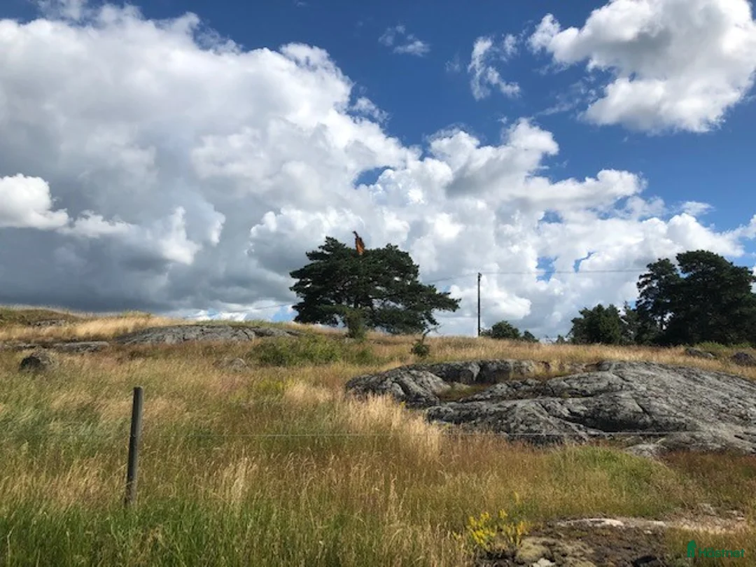  stallplats finnes: Plats i lösdrift utanför Söderköping/Norrköping i Söderköping - Annons 2