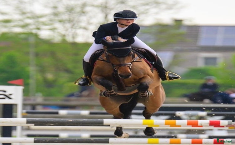  hästar i Villshärad - Annons 16