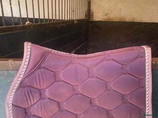 Schabrak & Vojlockar hästutrustning till salu: Ps Of Sweden i Trelleborg - Annons 1