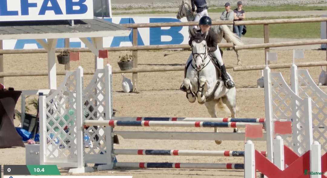 Hoppning hästar till salu: 🌟Häftig ponny🌟 - Annons 2