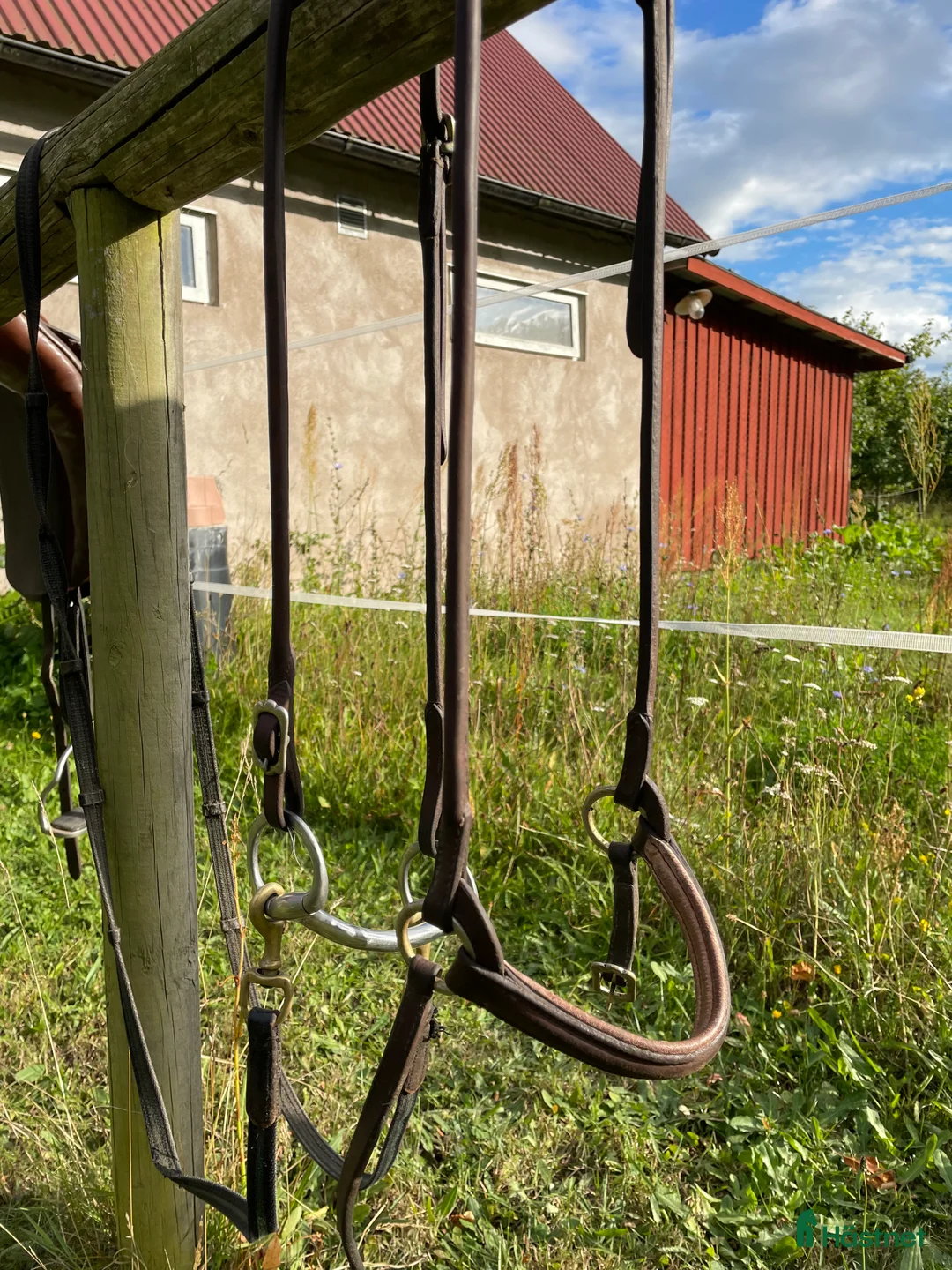 Sadlar hästutrustning till salu: Sadel med tillbehör  - Annons 8