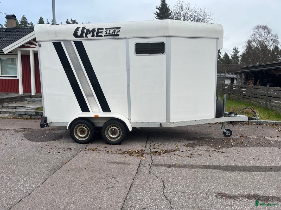 Hästtransporter  fordon & transport till salu: Rymligt Ume släp  i Surahammar - Annons 2