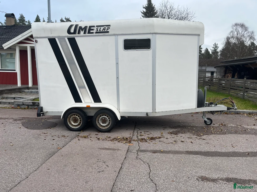 Hästtransporter  fordon & transport till salu: Rymligt Ume släp  i Surahammar - Annons 2