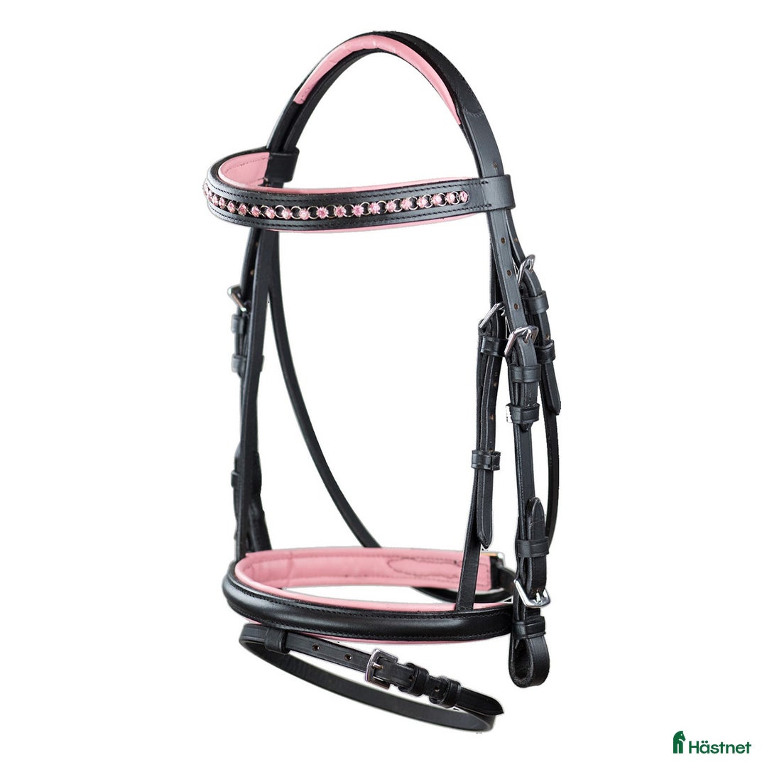 Träns hästutrustning till salu: Aachenträns till minishettis i Vårgårda - Annons 1