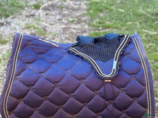 Schabrak & Vojlockar hästutrustning till salu: Lami-cell sett i bra skick! i Västervik - Annons 2