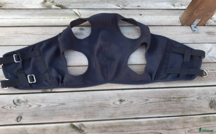 Övrig Hästutrustning hästutrustning till salu i Karlshamn - Annons 16