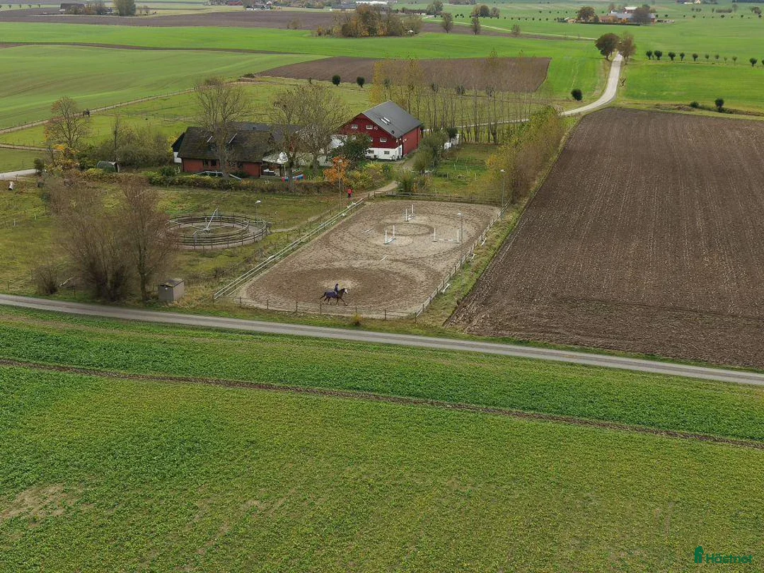  hästjobb finnes: Helgjobb finnes!! i Trelleborg - Annons 1