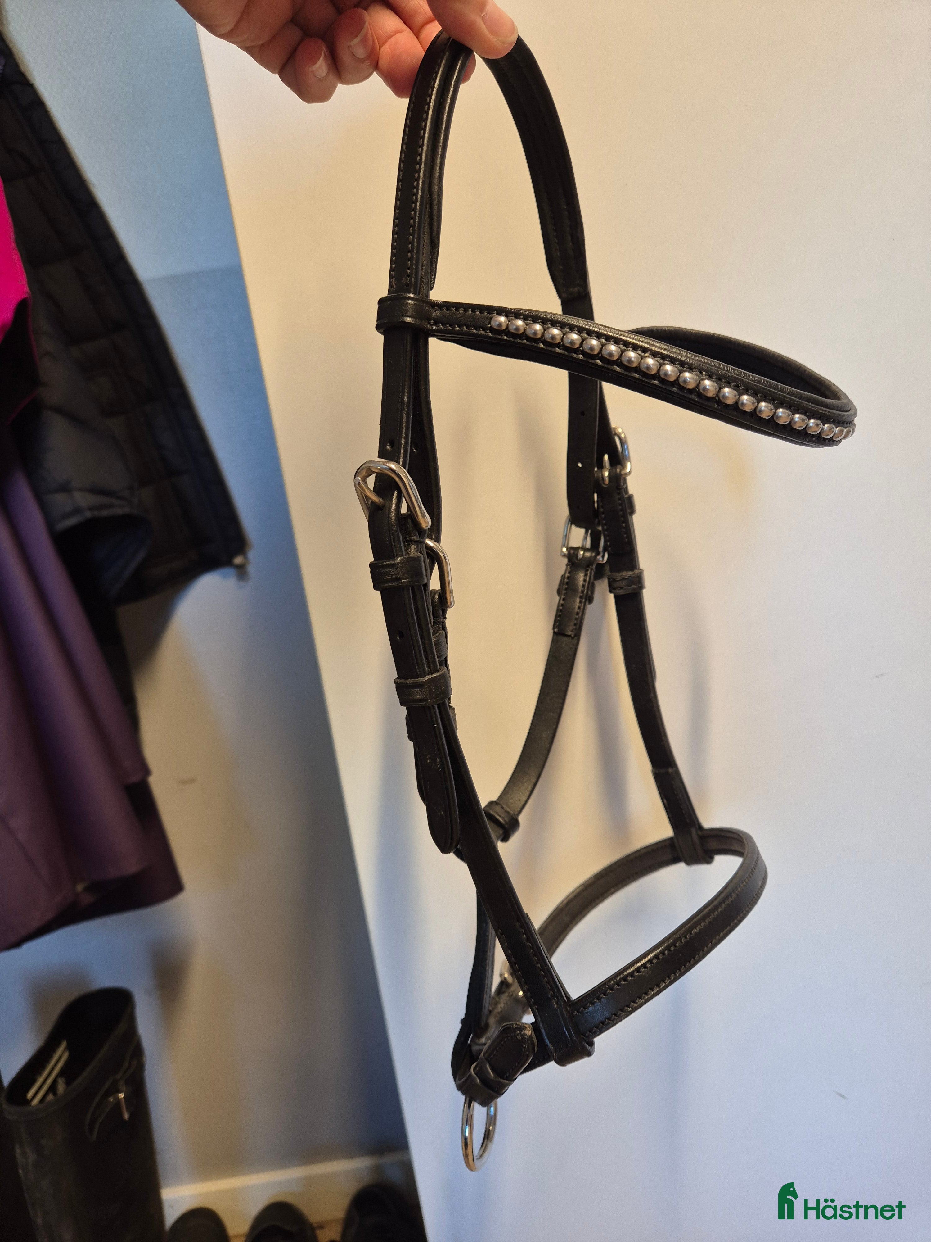 Övrig Hästutrustning hästutrustning till salu: Visningsträns föl i Billdal - Annons 4