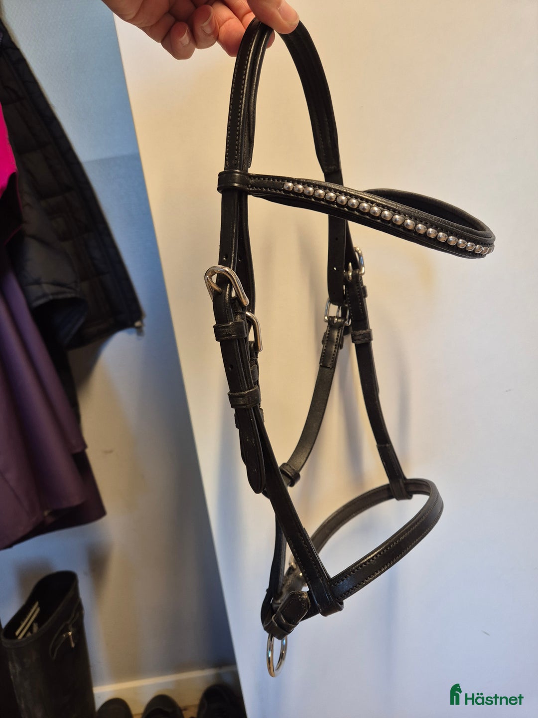 Övrig Hästutrustning hästutrustning till salu: Visningsträns föl i Billdal - Annons 1