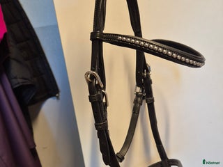 Övrig Hästutrustning hästutrustning till salu: Visningsträns föl i Billdal - Annons 1