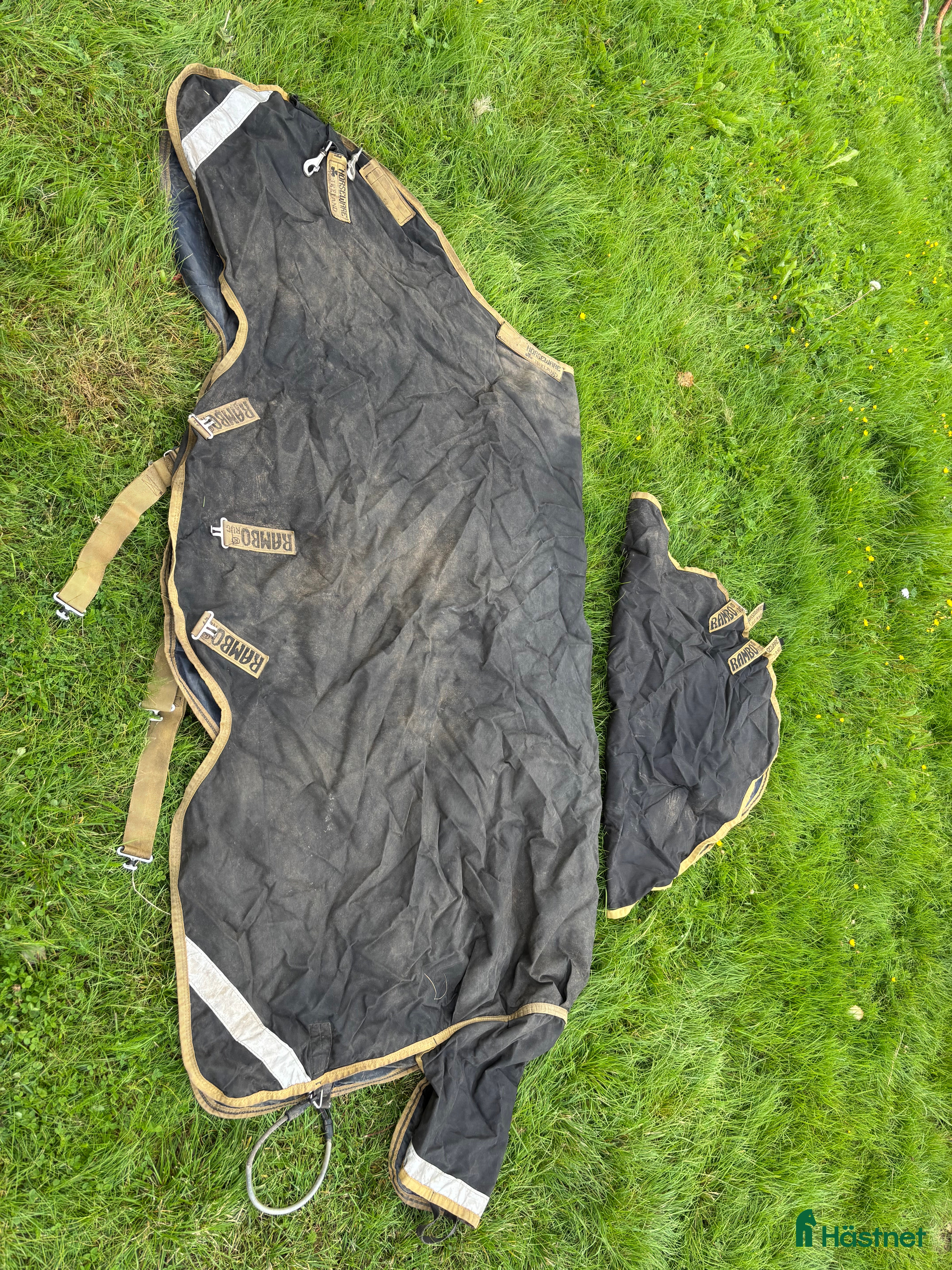 Täcken hästutrustning till salu: Flera täcken 155 cm, horseware bla i Storuman - Annons 18