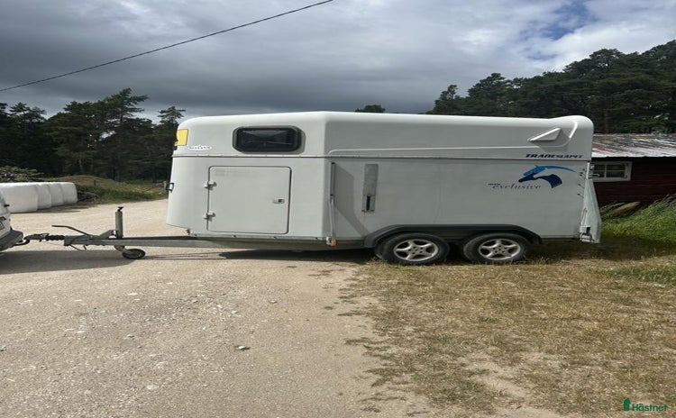 Hästtransporter  fordon & transport till salu i Visby - Annons 12