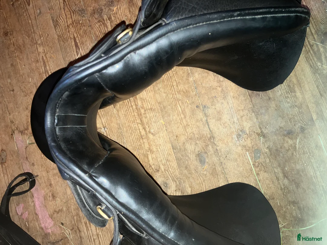 Sadlar hästutrustning till salu: Dressyrsadel Globus click i Hammarö - Annons 9