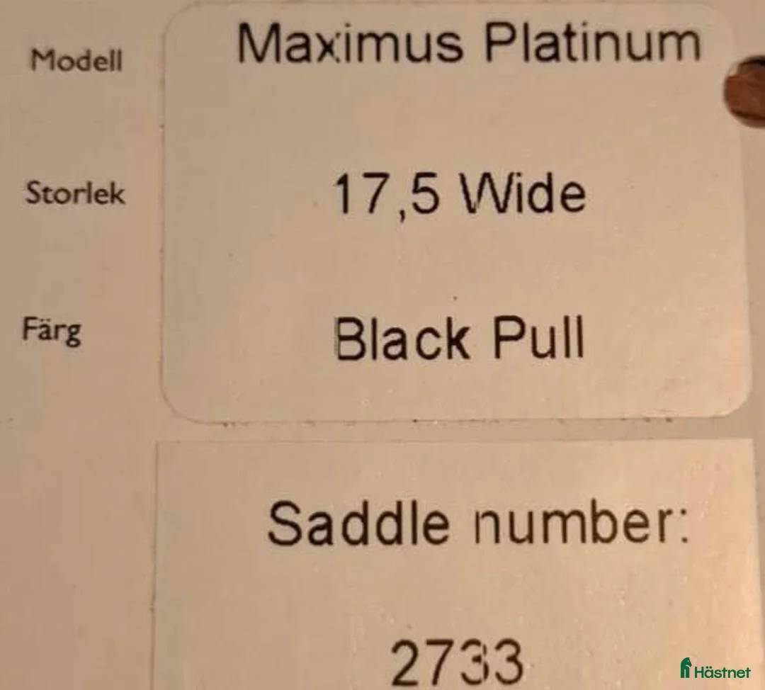 Sadlar hästutrustning till salu: Santa Cruz Maximus Platinum Ink stigläder och skyd i Hörby - Annons 2