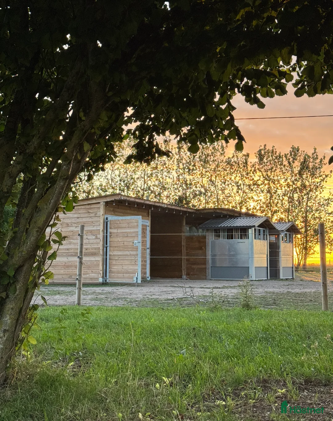  stallplats finnes: Lösdriftsplats för islandshäst utanför Helsingborg - Annons 4