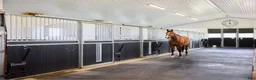  stallplats finnes: Lugnt och trivsamt stall nära Mantorp/Västerlösa - Annons 6