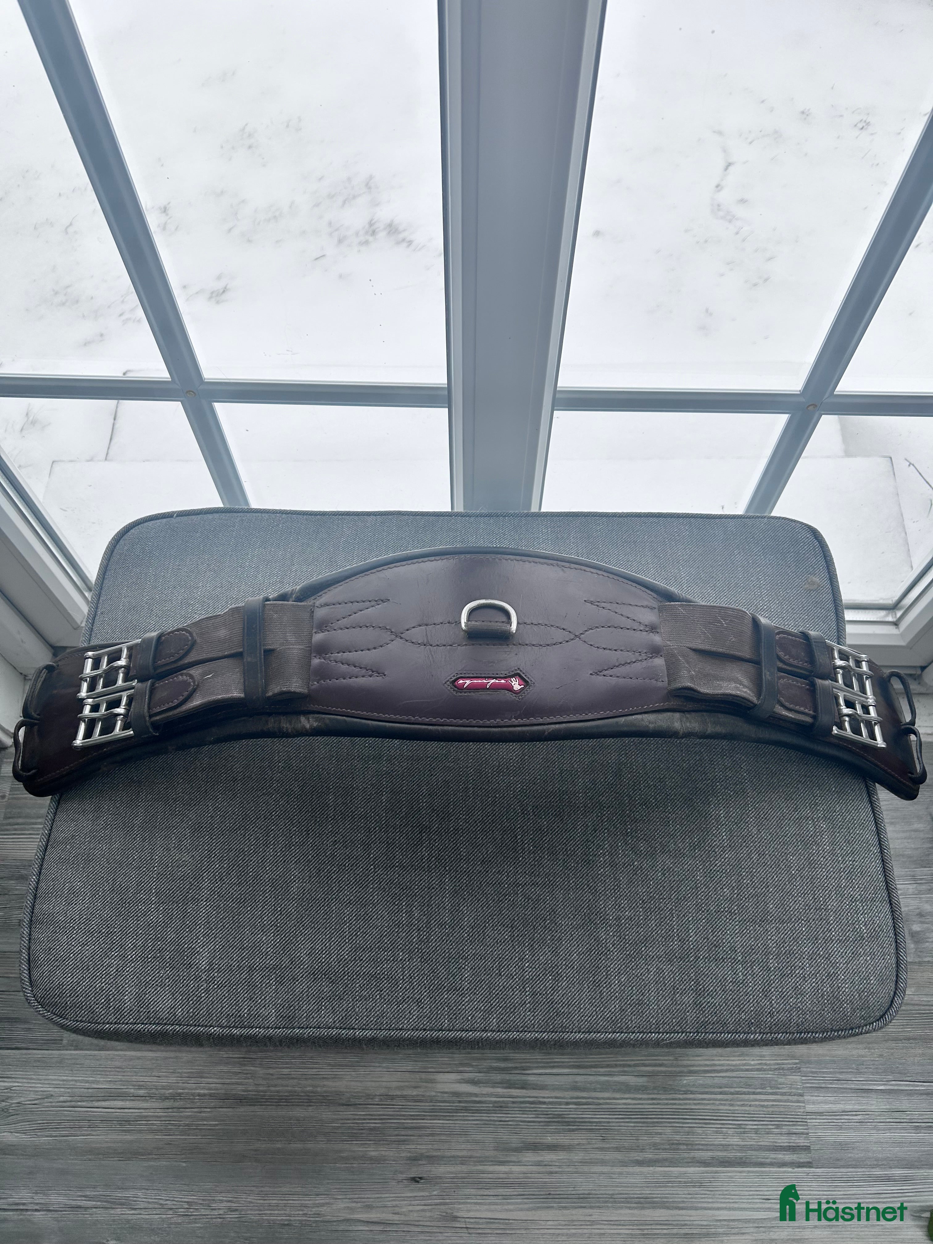 Sadeltillbehör hästutrustning Equipe dressyrsadelgjord i Olofström - Annons 14