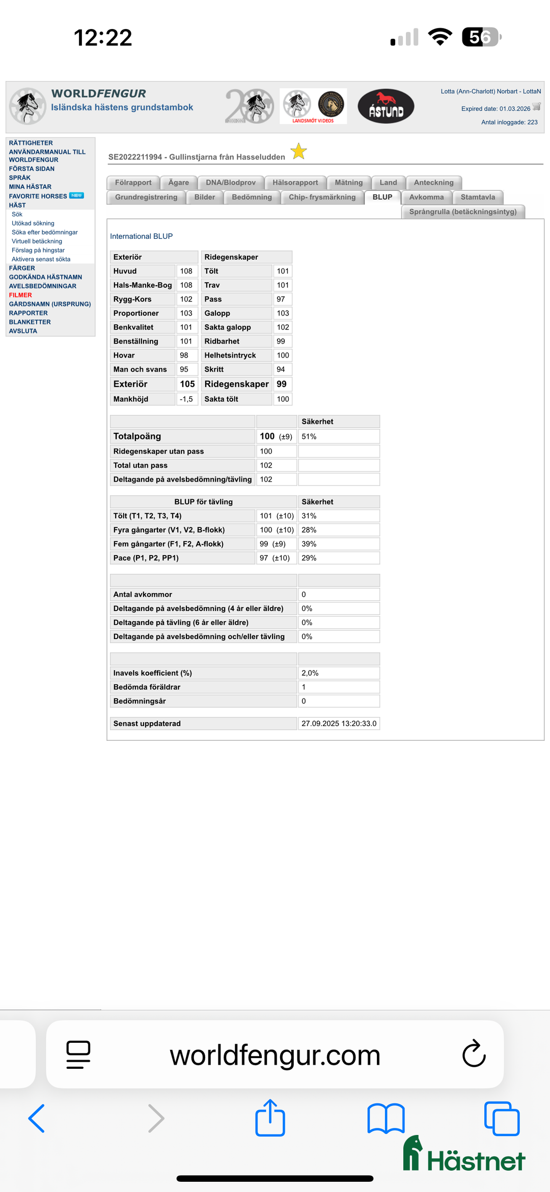 Island hästar till salu: Gullan - barnbarn till en 🌟!! i Skånes Fagerhult - Annons 8