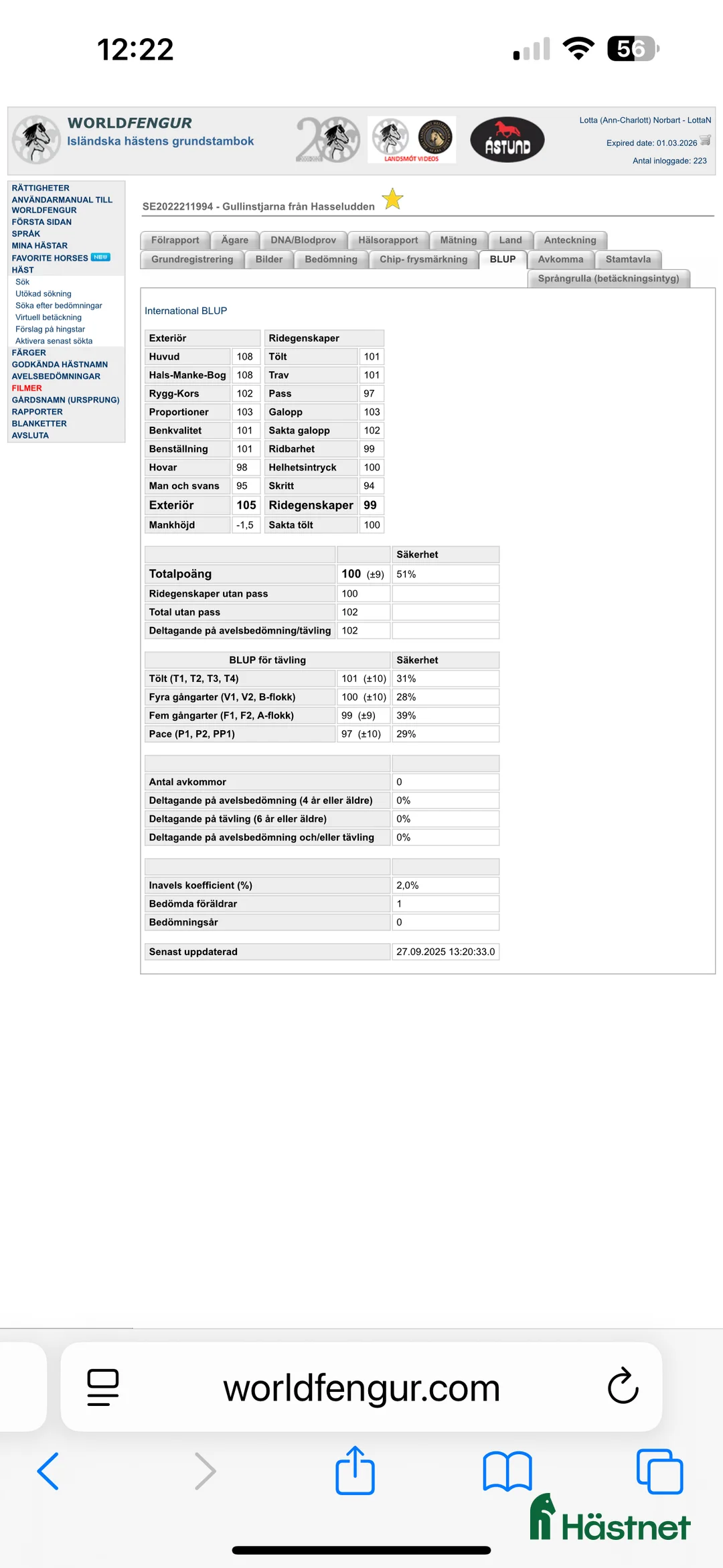 Island hästar till salu: Gullan - barnbarn till en 🌟!! - Annons 6