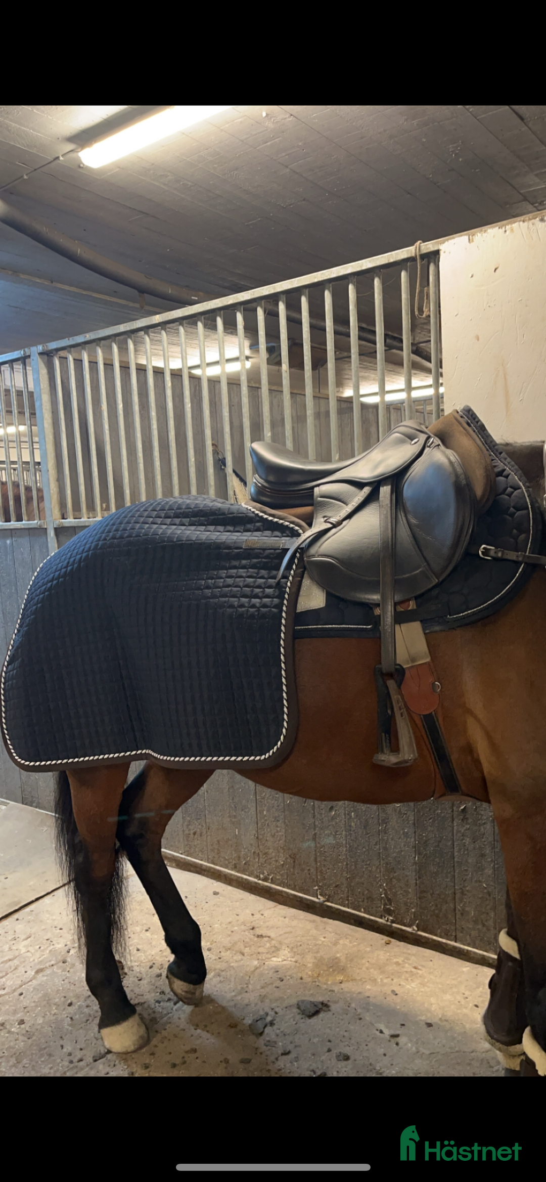 Täcken hästutrustning till salu: Ps of sweden ländtäcke i Österhaninge - Annons 2