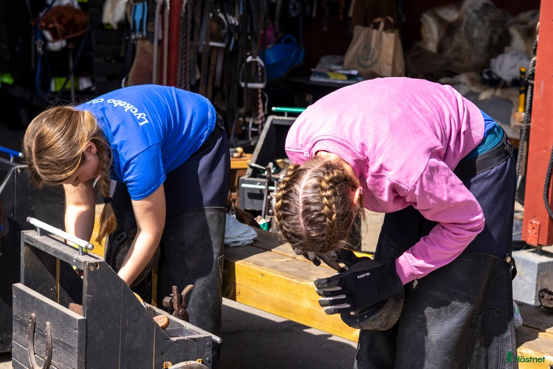  hästservice finnes: Tappskokurs / Hovvårdskurs i Färentuna - Annons 2