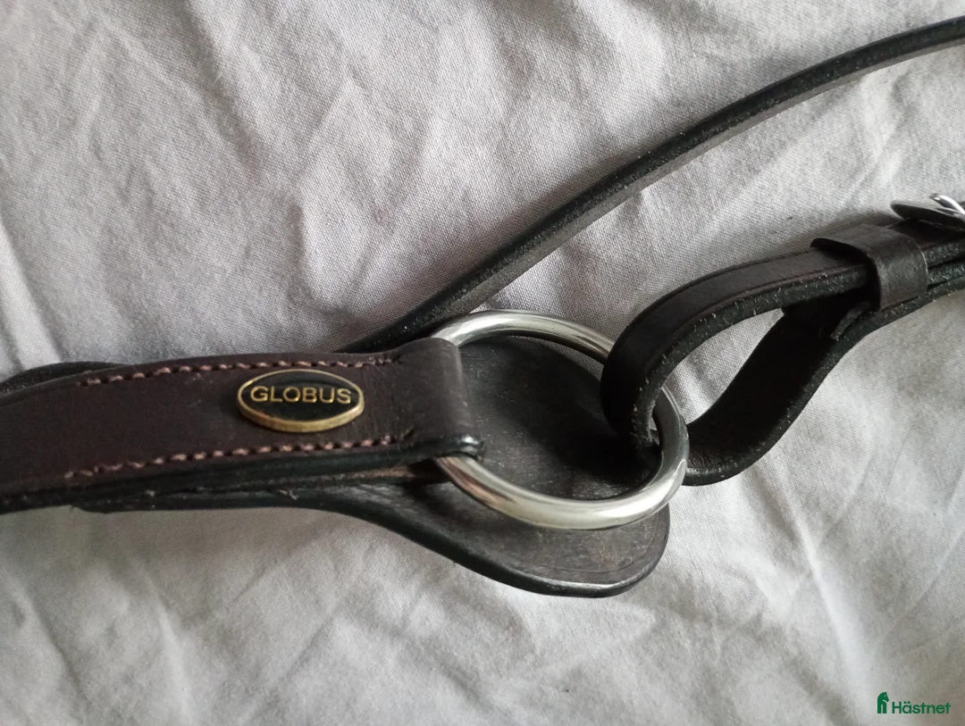 Övrig Hästutrustning hästutrustning till salu: Tiemantygel  - Annons 2