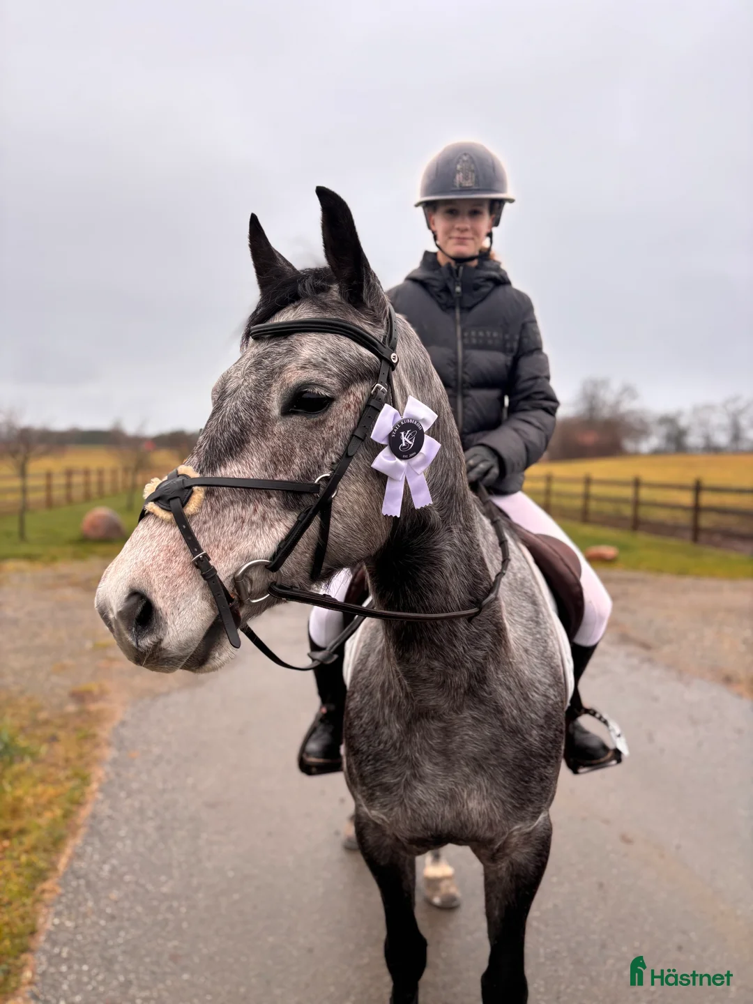 Hoppning hästar till salu: Vakker ponni med stort potensial  - Annons 2