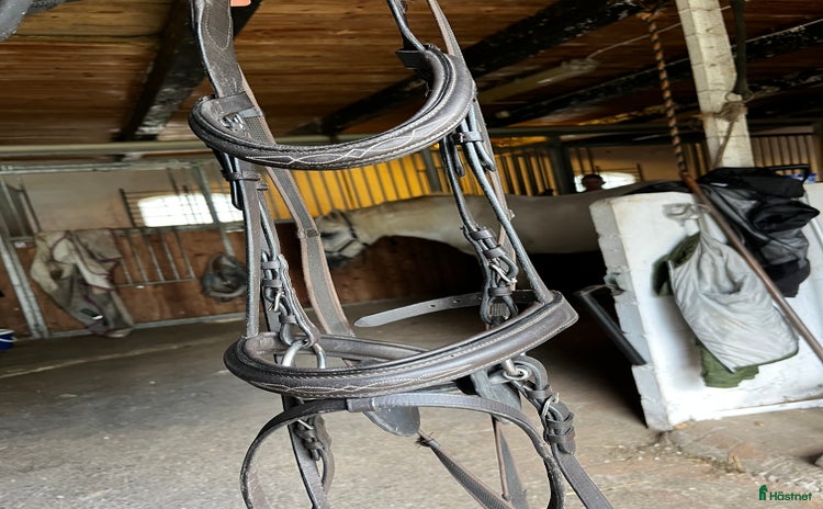 Träns hästutrustning till salu i Rydebäck - Annons 14