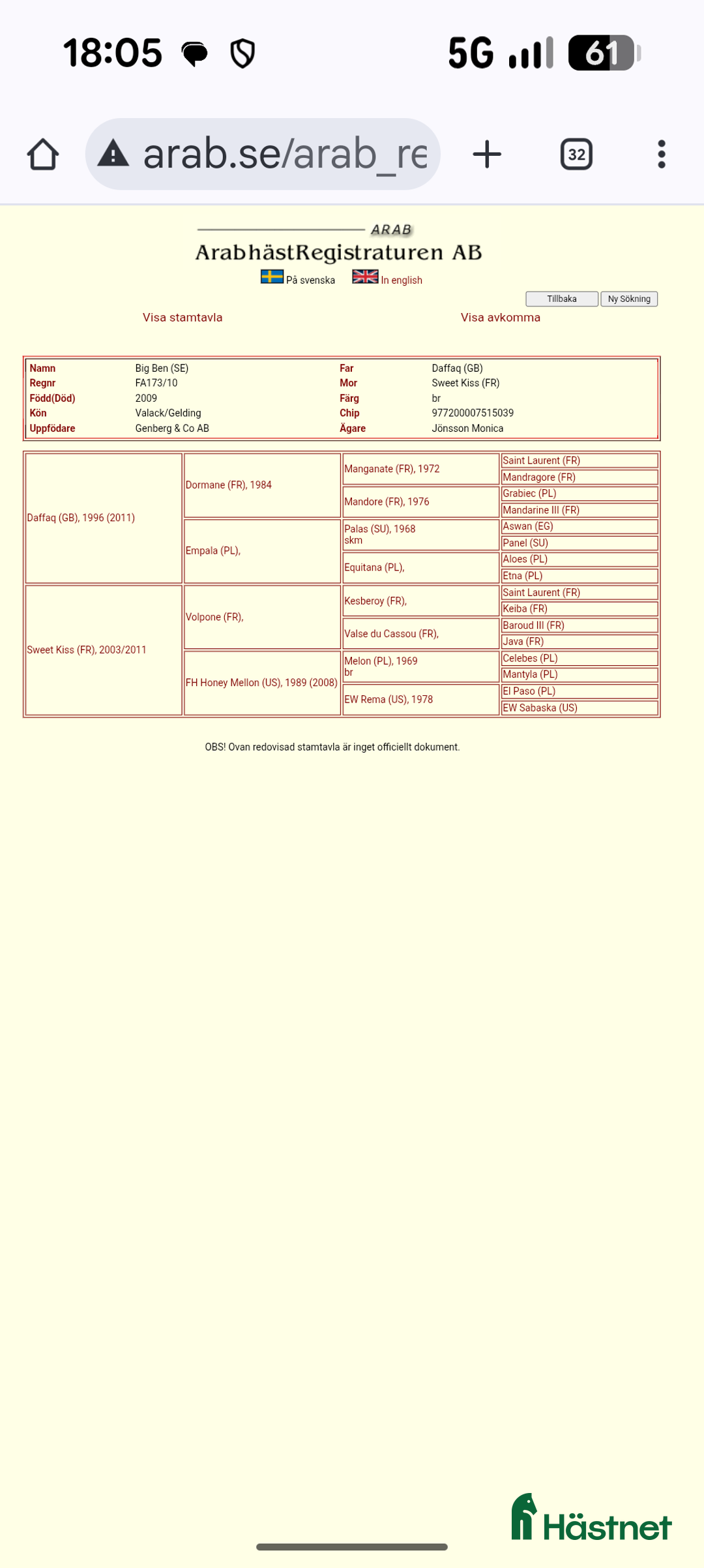 Allround hästar till salu: BIG BEN behöver nytt kärleksfullt hem i Höör - Annons 14