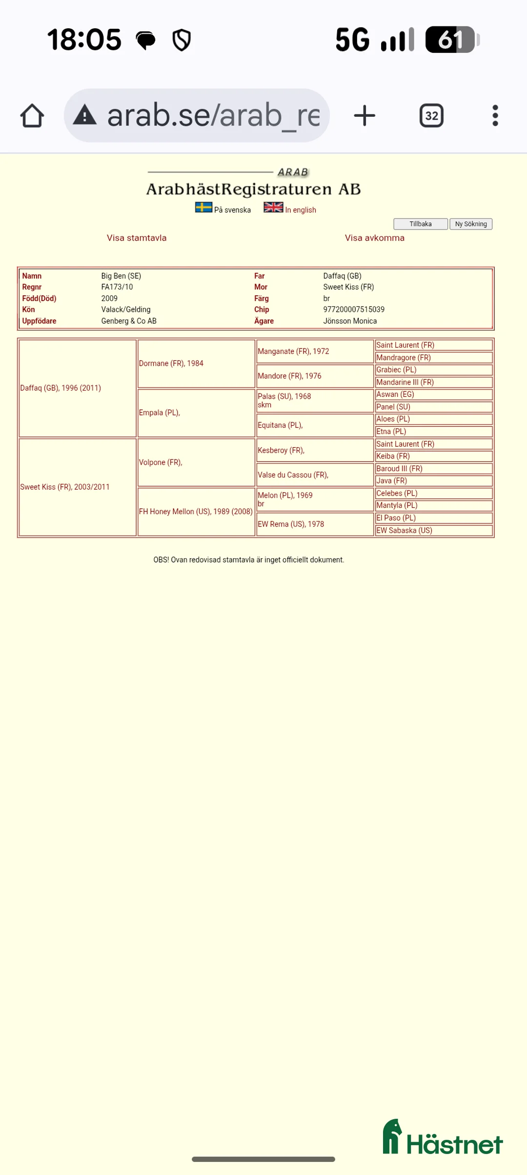 Allround hästar till salu: BIG BEN behöver nytt kärleksfullt hem - Annons 14