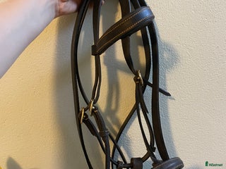 Träns hästutrustning till salu: Uppvisningsträns föl i Vallberga - Annons 14