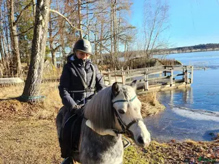 hästar Söt welshponny - Annons 1