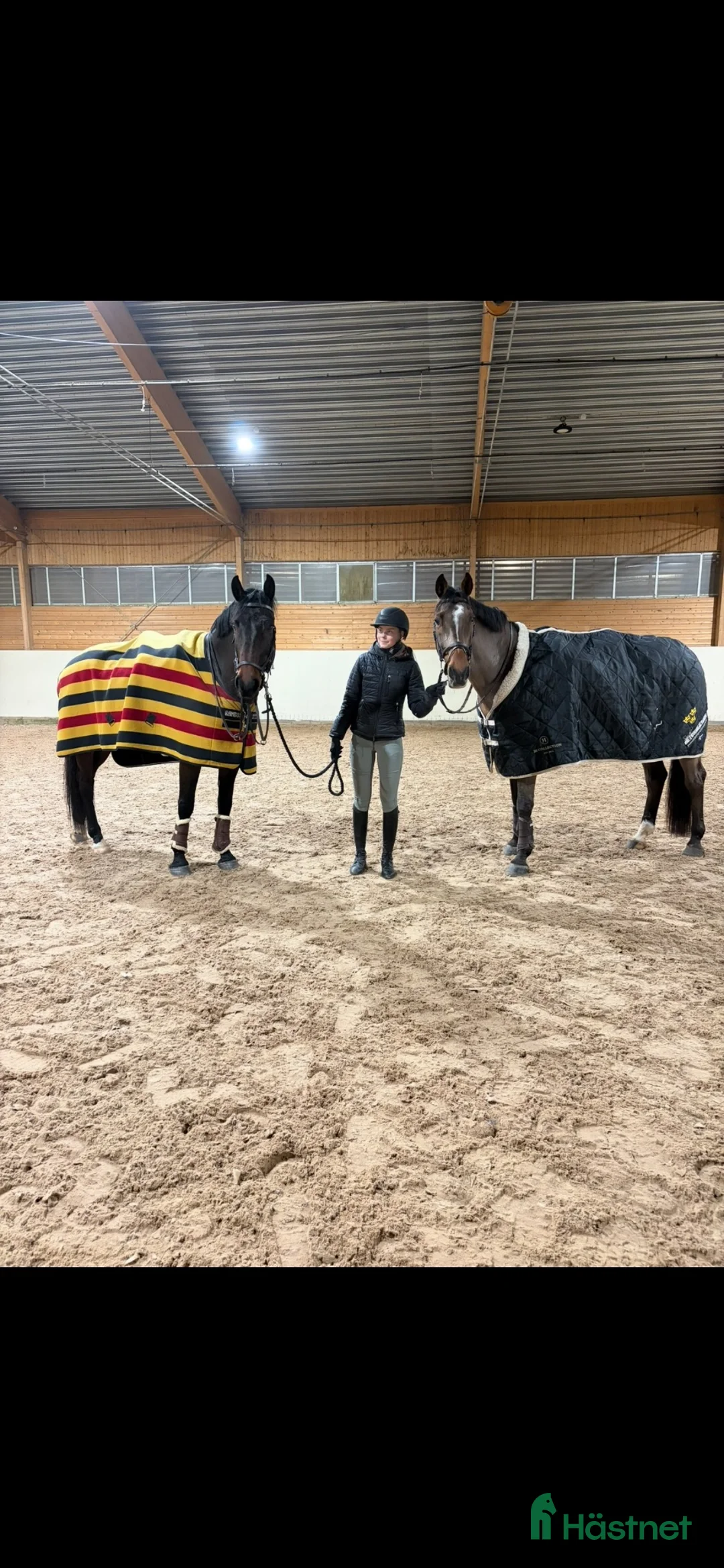 Hoppning hästar sökes: Söker tävlingshäst⭐️ i Eskilstuna - Annons 4
