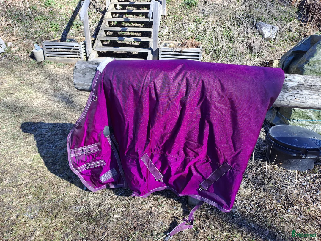 Täcken hästutrustning till salu: Säljes i Solna - Annons 2