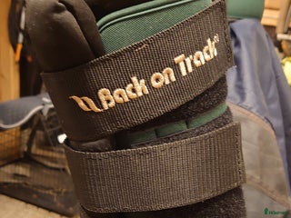 Benskydd hästutrustning till salu: Back on track i Husum - Annons 2