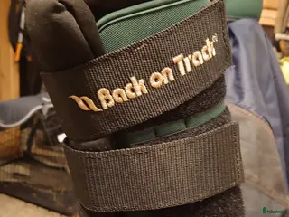 Benskydd hästutrustning Back on track i Husum - Annons 6