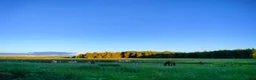  stallplats finnes: Lösdriftsplats i närheten av Bälinge  - Annons 3