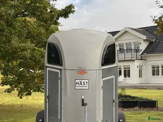 Hästtransporter fordon & transport till salu: Fin Böckmann Duo R från 2018 i Stora Höga - Annons 1