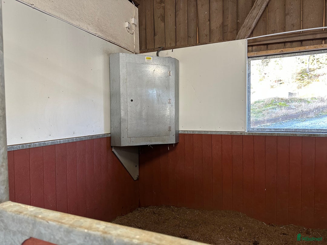  stallplats finnes: Boxplats med det mesta i Österhaninge - Annons 5