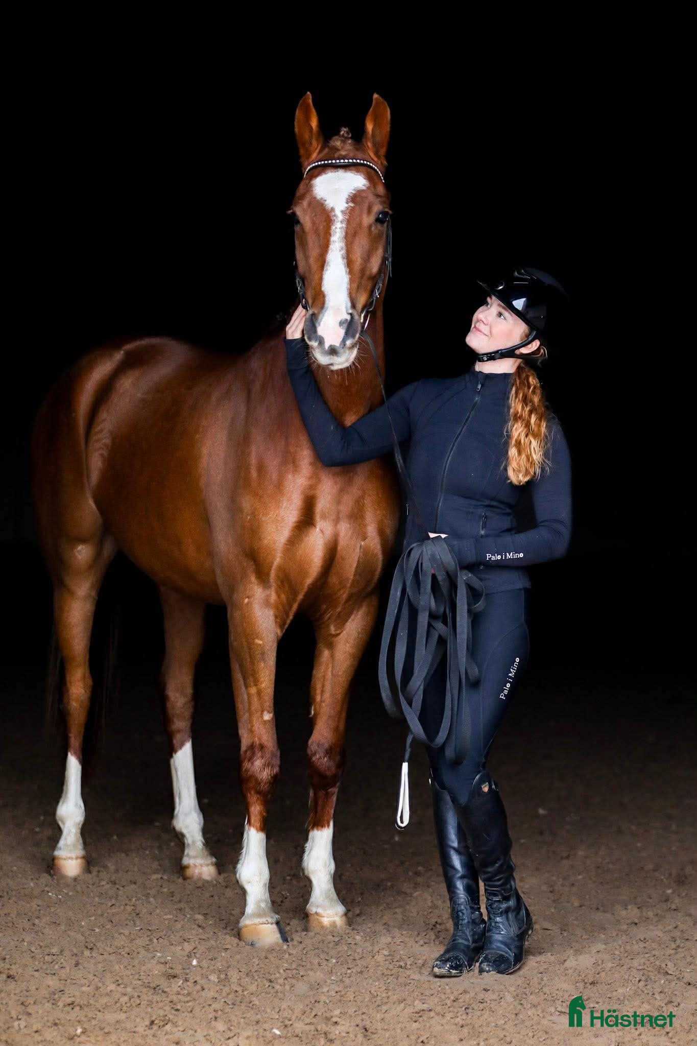  hästar Coolaste killen  - Annons 1