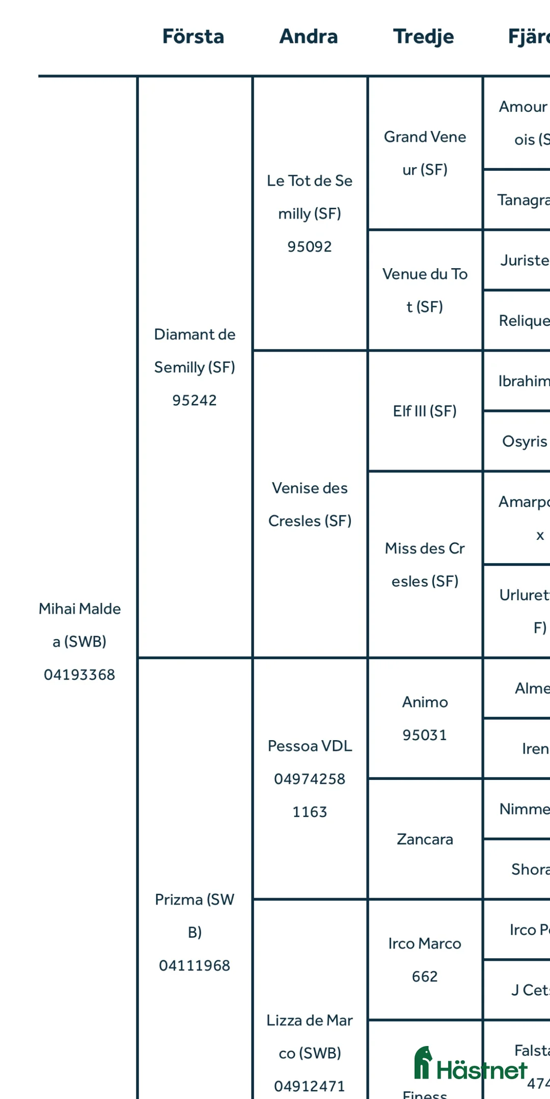 Allround hästar till salu: Din framtida stjärna inom hoppning eller dressyr  i Valbo - Annons 2