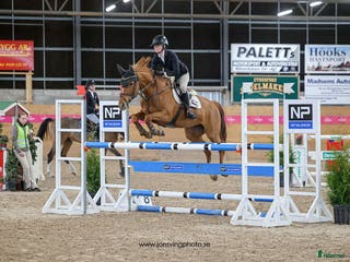 hästar Ferrari söker ny förare! - Annons 1