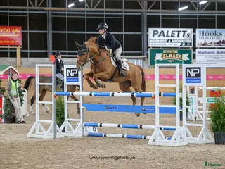 hästar Ferrari söker ny förare! - Annons 2