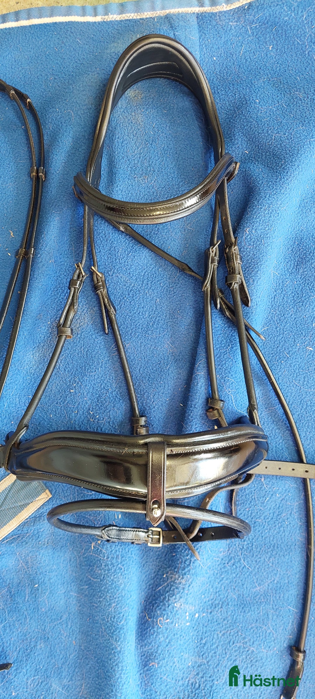 Träns hästutrustning till salu: PS träns  i Frändefors - Annons 6
