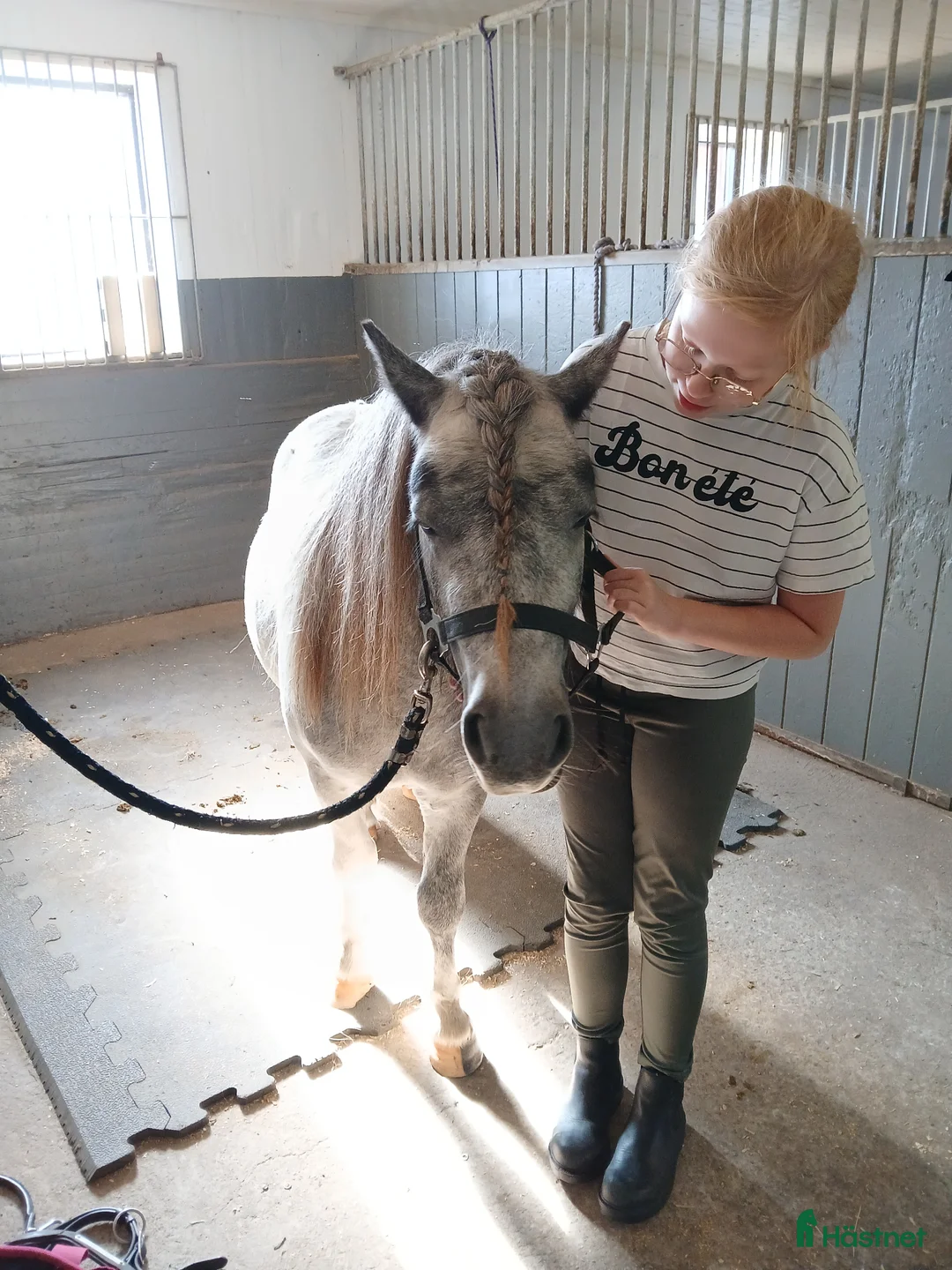Allround hästar sökes: Familjeponny sökes i Nässjö - Annons 1
