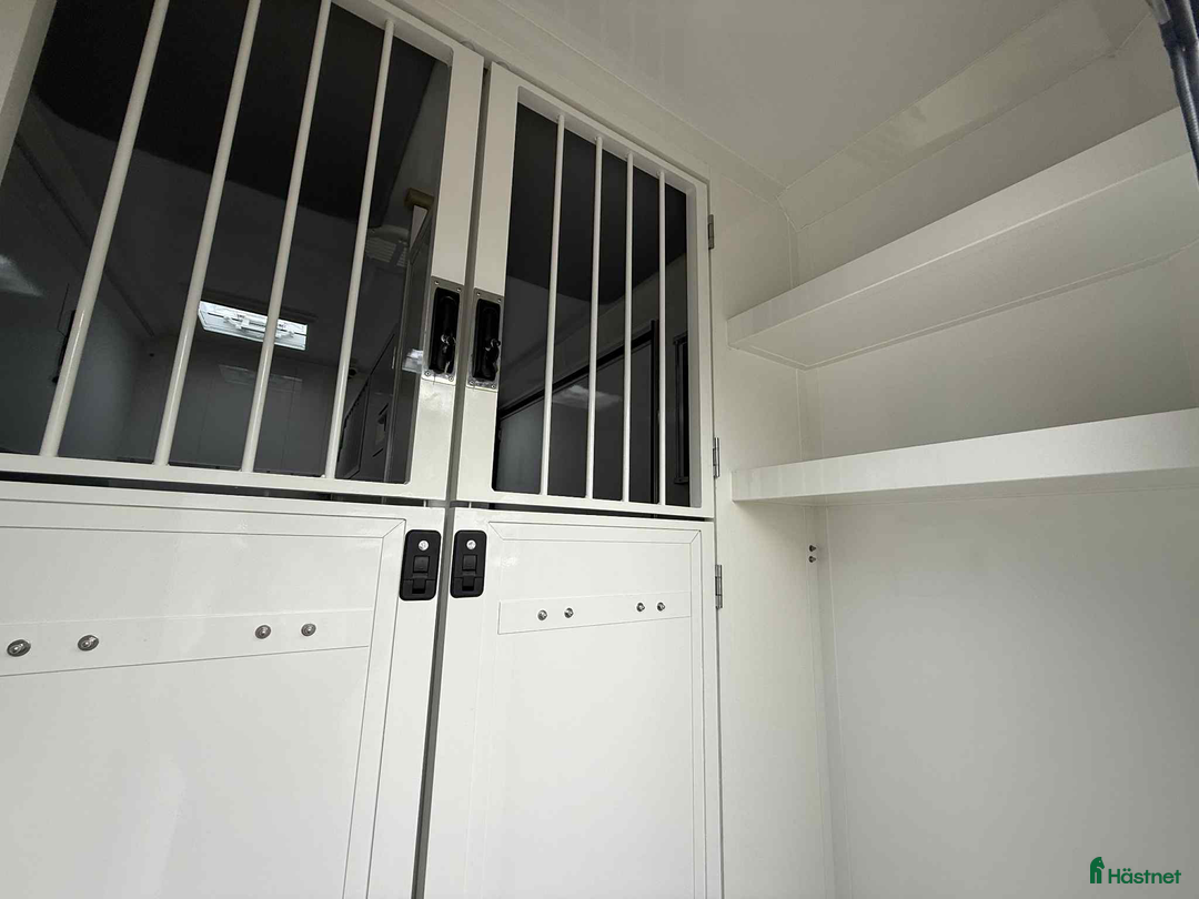 Hästlastbilar  fordon & transport till salu: NORDIC HORSE 5 STUTERI *HÖG LASTVIKT* - Annons 13