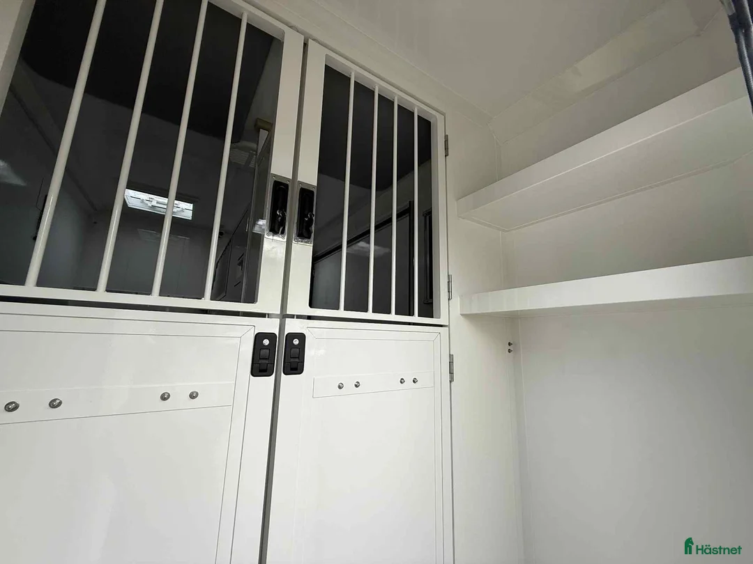 Hästlastbilar  fordon & transport till salu: NORDIC HORSE 5 STUTERI *HÖG LASTVIKT* - Annons 13